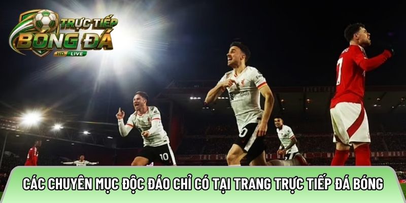 Các chuyên mục độc đáo chỉ có tại trang trực tiếp đá 