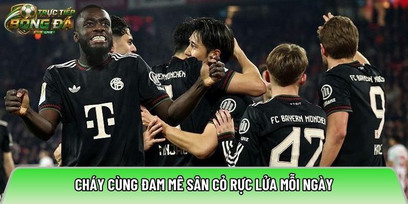 Cháy cùng đam mê sân cỏ rực lửa mỗi ngày