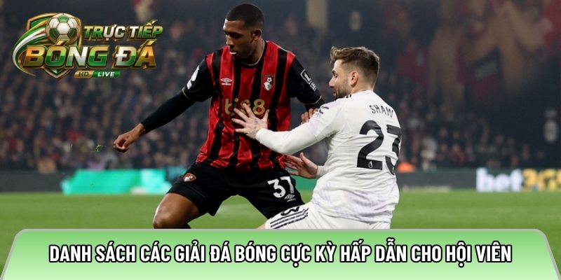 Danh sách các giải đá bóng cực kỳ hấp dẫn cho hội viên