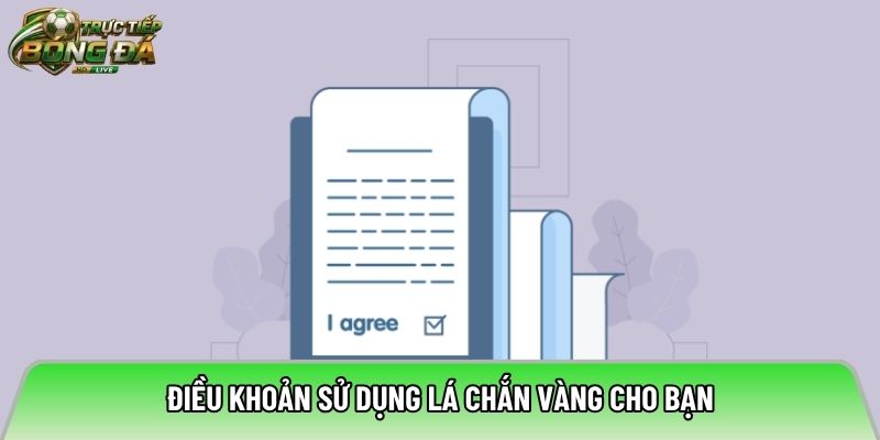 Điều khoản sử dụng lá chắn vàng cho bạn