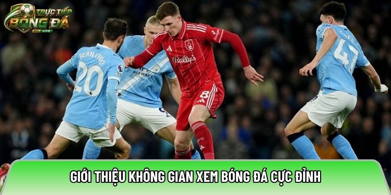 Giới thiệu không gian xem bóng đá cực đỉnh