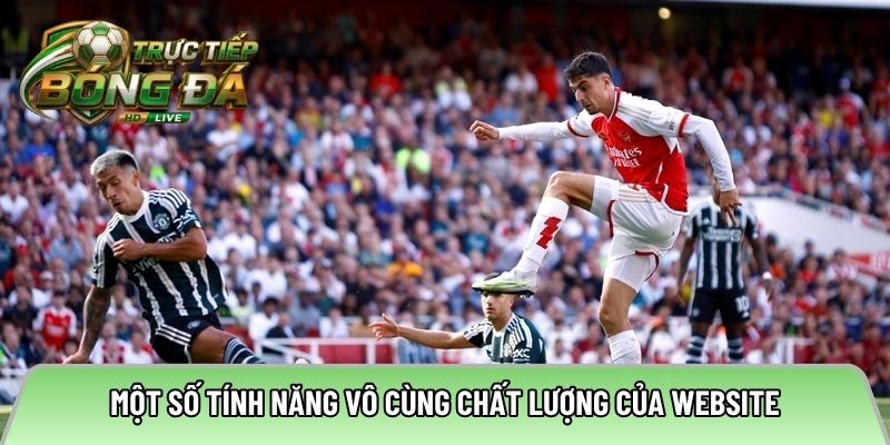 Một số tính năng vô cùng chất lượng của website