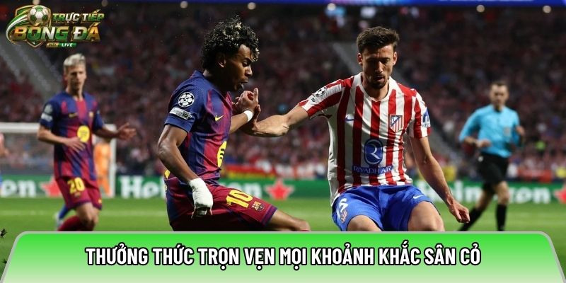 Thưởng thức trọn vẹn mọi khoảnh khắc sân cỏ