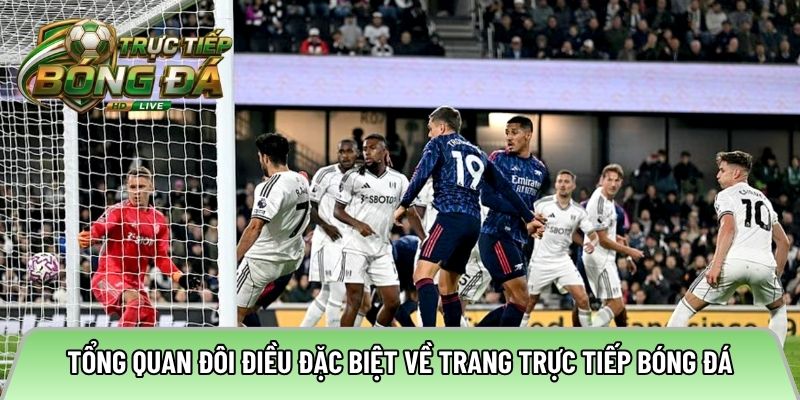 Tổng quan đôi điều đặc biệt về trang trực tiếp bóng đá